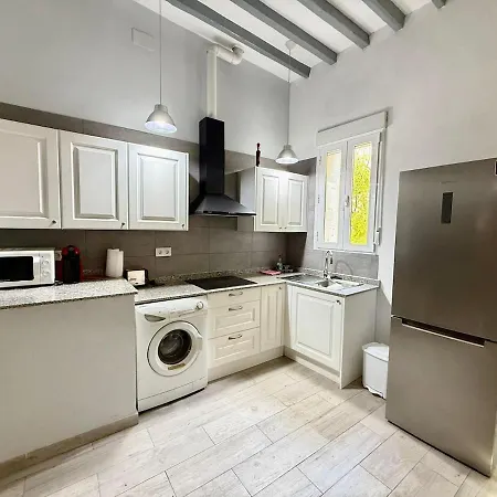 Modern & Bright Loft Near Market Apartment Alicante